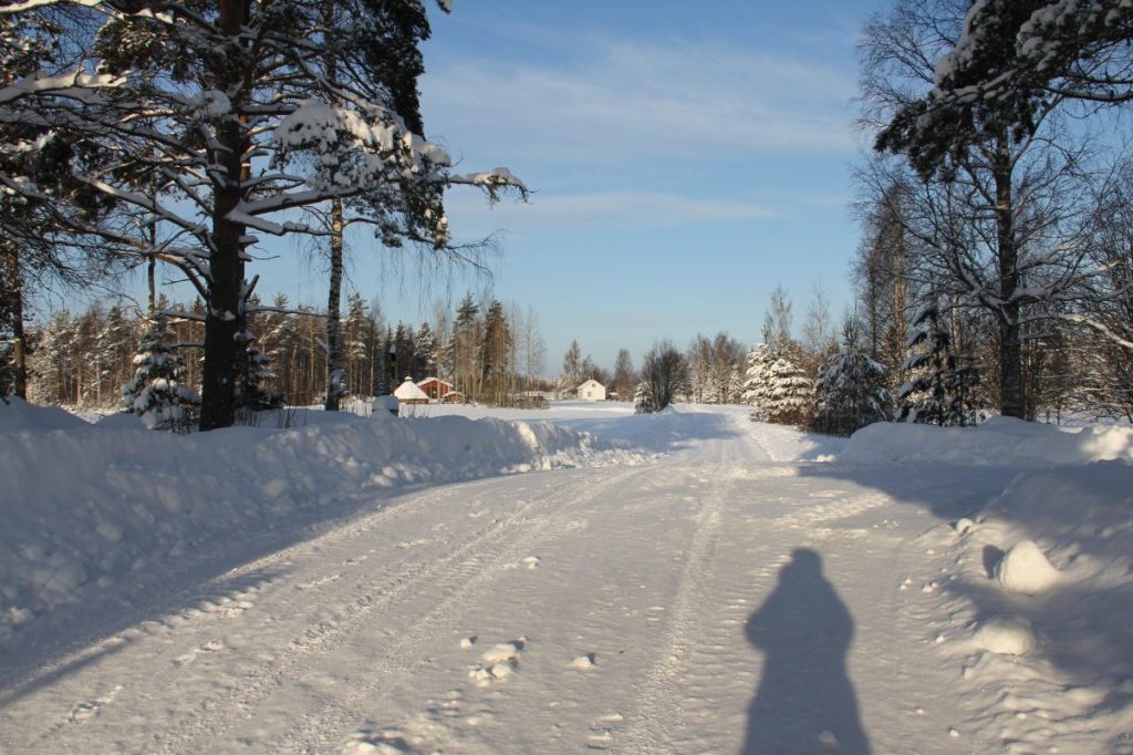 Aurinkoa ja paukkupakkasia =&nbsp;helmikuu!