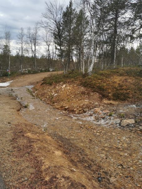 Tien vieressä juoksee kirkasvetinen puro.